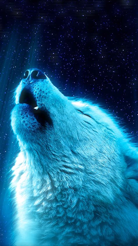 Wolf Howling Wallpaper Hd