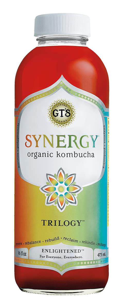 Gts synergy kombucha - jordnyc