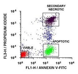 Annexin Y Assay Graph