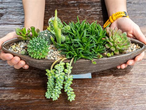 Indoor Gardening Ideas to Get You Through Winter | Reader's Digest