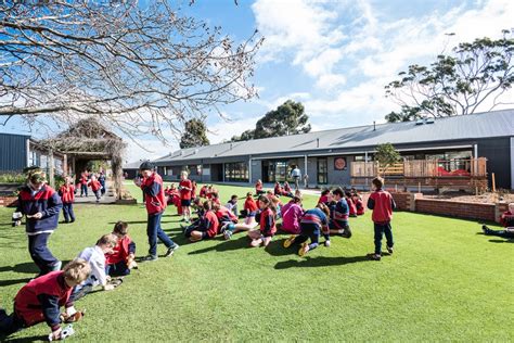 Roslyn Primary School - Smith+Tracey Architects