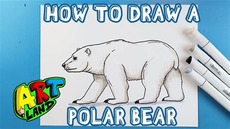 Polar Bear Drawing For Kids