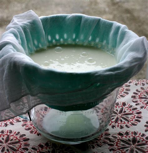 Making Kefir Cheese • The Healthy Eating Site