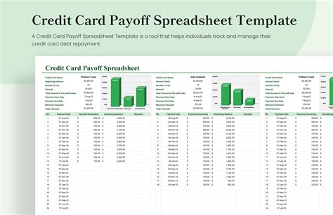 Credit Card Payoff Spreadsheet Template in Excel, Google Sheets ...