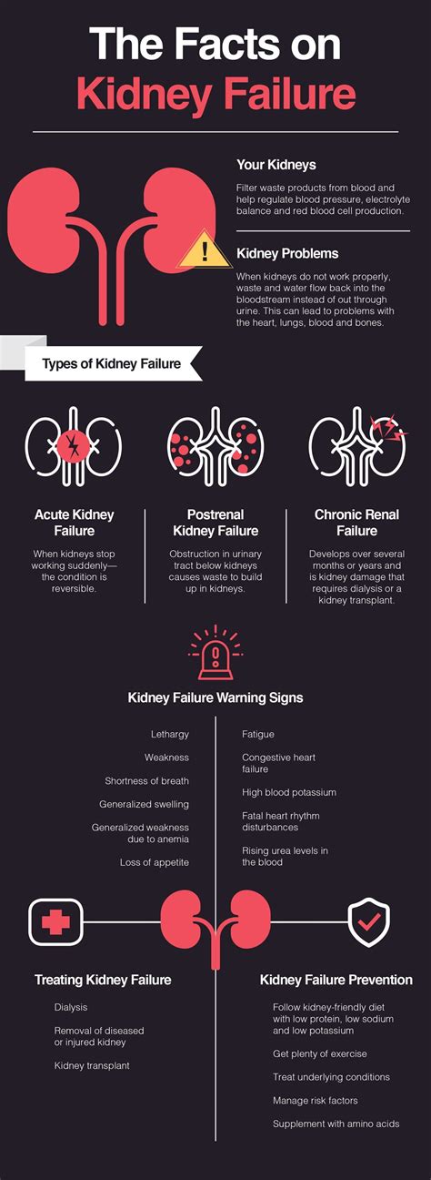 Kidney Failure: How It Happens and What You Can Do to Prevent It – The ...