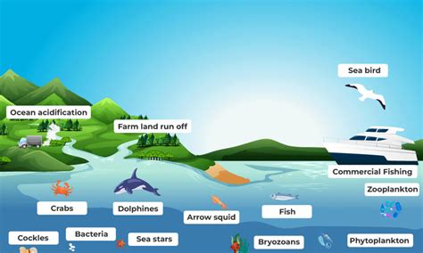 Structure, Function, Types, Units of Ecosystem