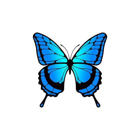 Blue butterfly vector isolated on white baackground. 25560758 Vector Art at Vecteezy