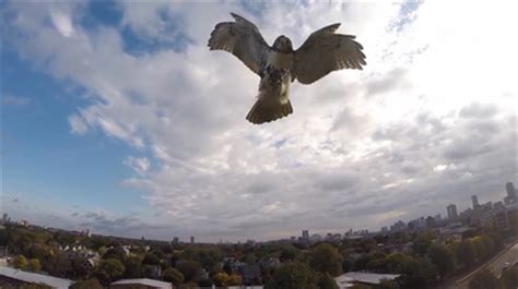 Nano drone swarm: Advanced tiny quadrotors stabilize mid-air, fly in strict formation (VIDEO ...