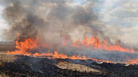 Ongar field fire destroys 20 acres of stubble - BBC News