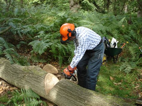 Chainsawing | Friends of Northaw Great Wood