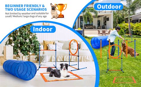 Amazon.com : JMMPOO Dog Agility Training Equipment, 60-Piece Dog ...