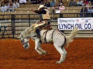 138th Silver Spurs Rodeo and a look at Monster Bulls Freestyle Bullfighting