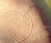 7 Amazing Skin Imprints ideas | imprinting, skin, jesus fish tattoo