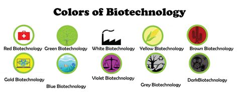 Biotechnology Definition - JavaTpoint