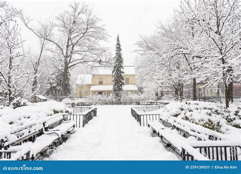 Snow in the city stock image. Image of path, alley, nature - 259139031