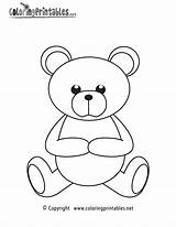Free Printable Teddy Bear Coloring Page sketch template