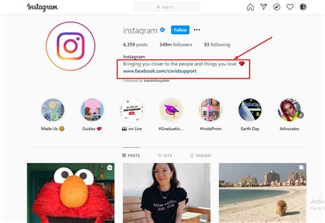 350+ Best Instagram Bio Ideas to Maximize Reach in 2020