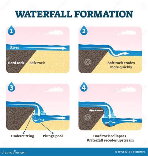 [DIAGRAM] Urine Formation Diagram - MYDIAGRAM.ONLINE