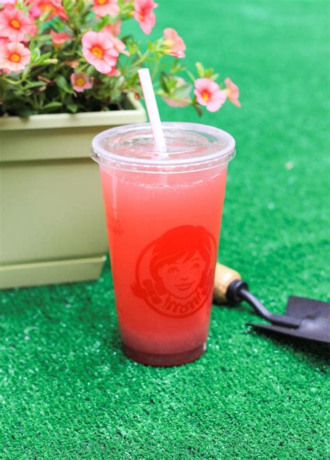 Beverages: Wendy's Drinks - Wendy's | Fruity drinks, Homemade drinks, Seasonal drinks