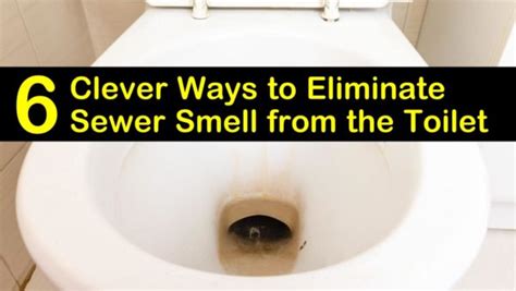 6 Clever Ways to Eliminate Sewer Smell from the Toilet