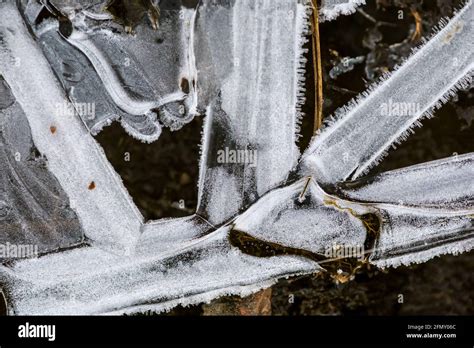 Ice crystals formed on the surface of water Stock Photo - Alamy