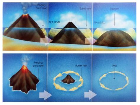 Geology of Hawaiian Coral Reefs | Lucky Sci