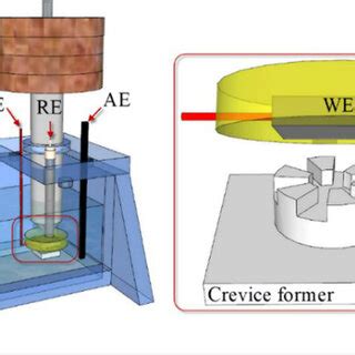 Scheme of the corrosion cell and crevice former used in the crevice ...