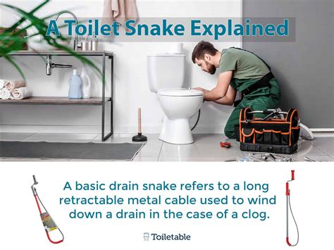 Toilet Snakes for Stubborn Clog | Homeowner Guide 2024