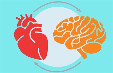 New Study Shows Taking Care of Your Heart Helps Your Brain | Health + Wellness | Cheshire ...