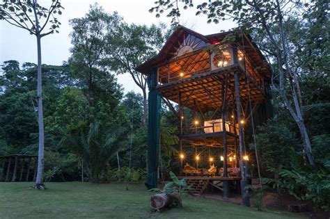 Huge Treehouse in Jungle in Matapalo | Tree house, Unique buildings, Costa rica