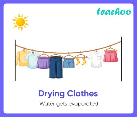 11+ Examples of Evaporation in our daily life (Explained!) - Teachoo