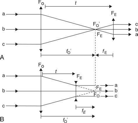 Angular Magnification | Ento Key