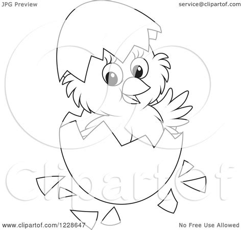 Clipart of an Outlined Cute Chick Hatching from an Egg - Royalty Free Vector Illustration by ...