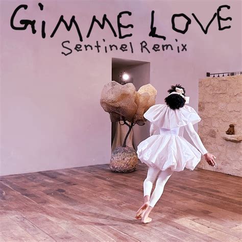 ‎Gimme Love (Sentinel Remix) - Single - Album by Sia - Apple Music