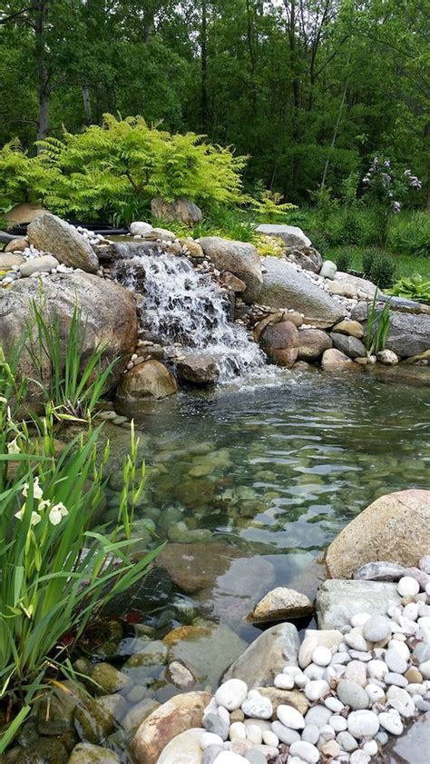 Pin by Rebecca Morrison-Stoney on Backyard Creek & Landscaping ...