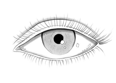 How to Draw Eyes: A Step-by-Step Guide - Udemy Blog