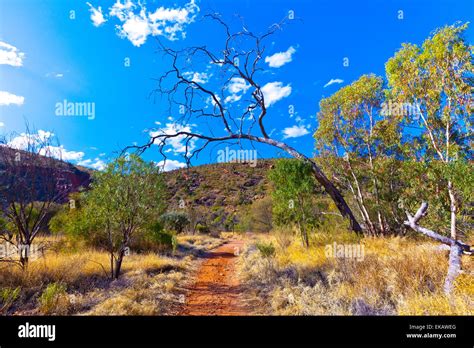 Australian outback landscape hi-res stock photography and images - Alamy