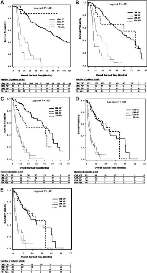 Survival analysis in patients with T315I BCR-ABL mutation. (A) OS from... | Download Scientific ...