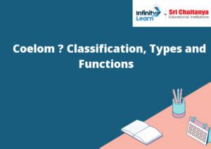 Coelom – Classification, Types and Functions - Infinity Learn by Sri Chaitanya