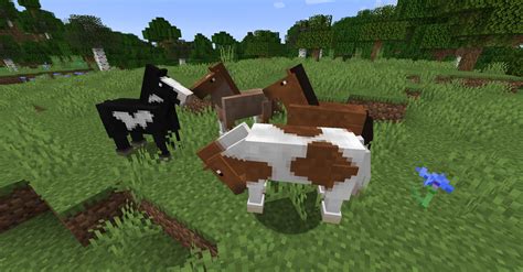 Minecraft Horse Stable : Horses are one of the best and fastest modes ...