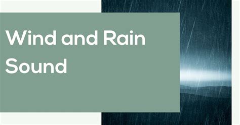 Wind and Rain Sound Web Player - AmbientNoise.Online [2024 Version]