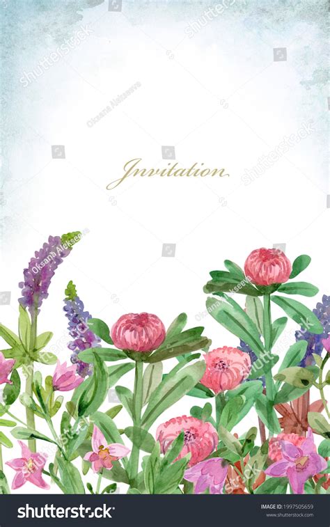 Invitation Card Border Meadow Flowers Watercolor Stock Illustration 1997505659 | Shutterstock