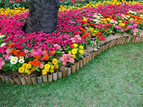 Achieving Hot Weather Color: Growing Colorful Flowers In Hot Climates ...