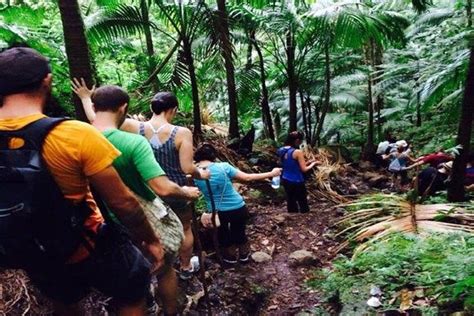 Hiking Mount Liamuiga Volcano In St Kitts: Triphobo