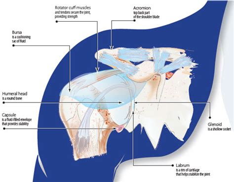 Arthroscopic Shoulder Surgery / Shoulder Arthroscopy Overview, Benefits & Risks