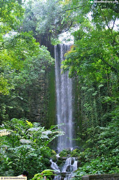 Waterfall Aviary - Jurong Bird Park Image Singapore