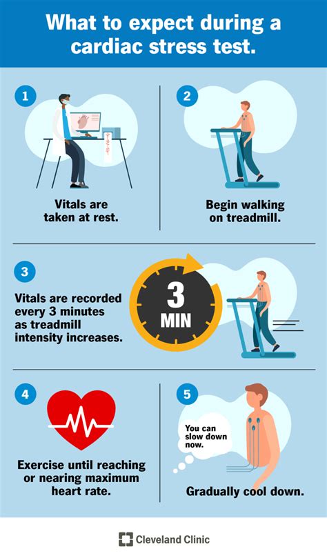 Stress Test: Purpose, Procedure, Risks and Results