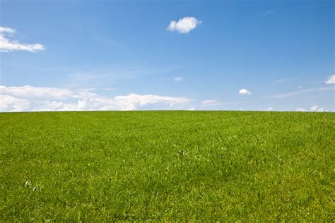 Green grass field with stratus clouds, wiese HD wallpaper | Wallpaper Flare