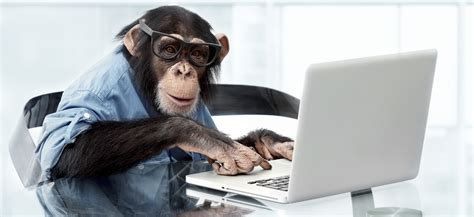 Monkey Typing On Keyboard