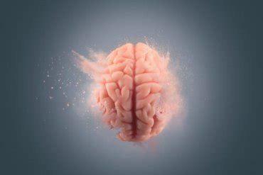 The Effects of Cocaine on the Brain - Exploring your mind